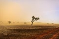 New South Wales Ã¢â¬â Dust Storm near Temora